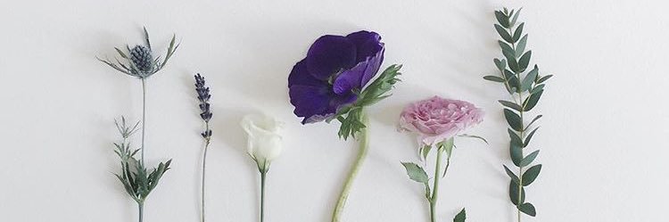 irreTRISTAble's profile banner image