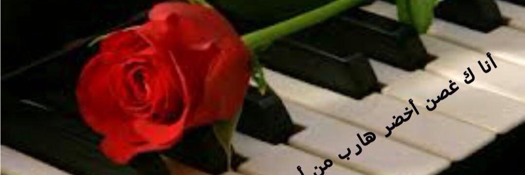 7aalo's profile banner image