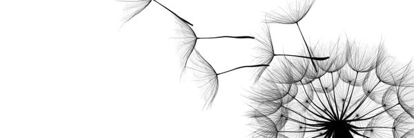 InceptLabs Profile Banner