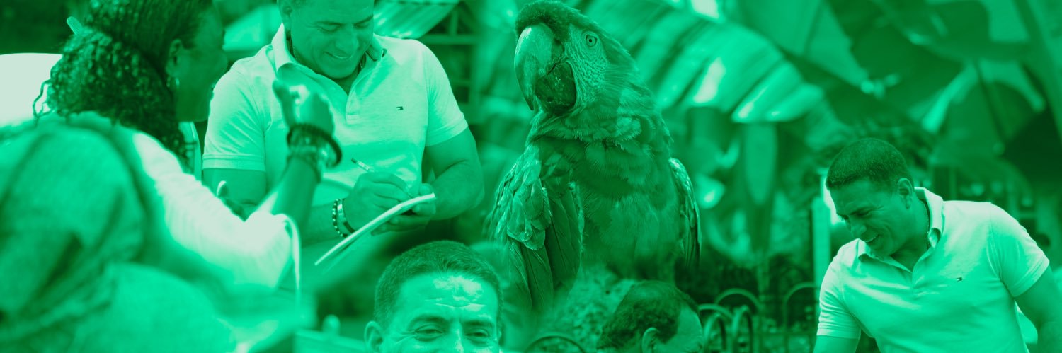 Flower Rojas 🌻🌳 banner