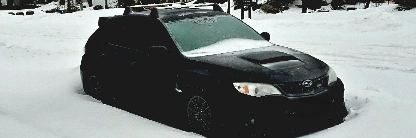 Bigdawg_gaming banner