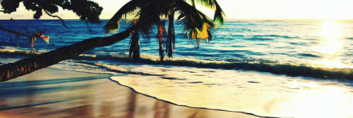 stupidfucksav's profile banner image