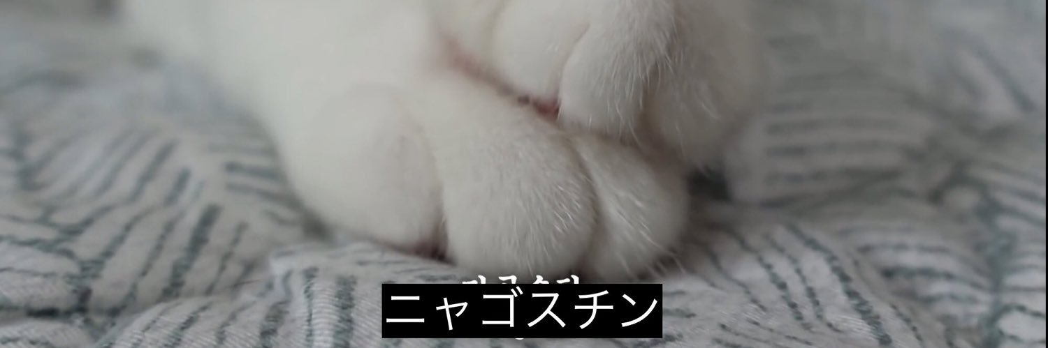 えりみ's banner