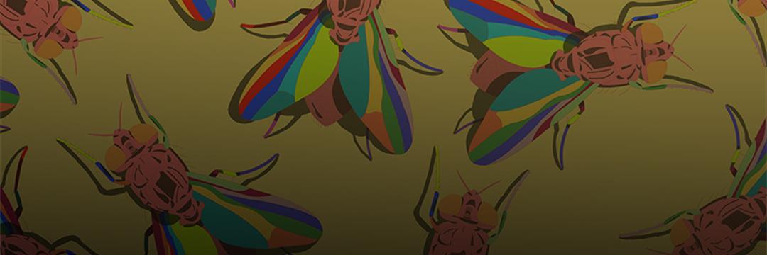 strangepaperart's profile banner image