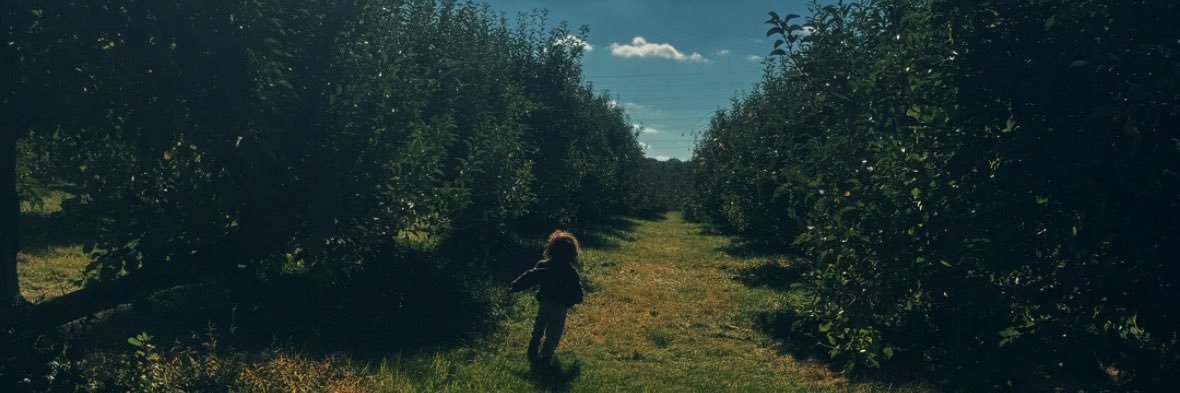 lil ray🌞 banner