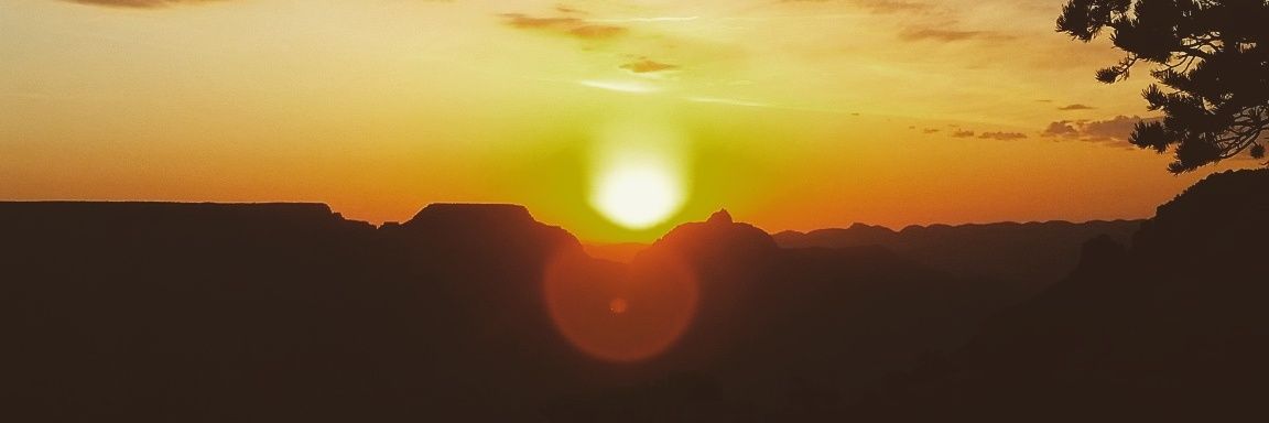 mwynko's profile banner image