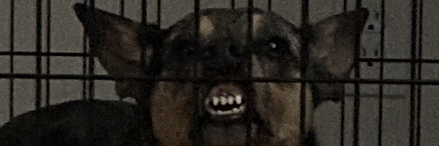 _its_nesss's profile banner image