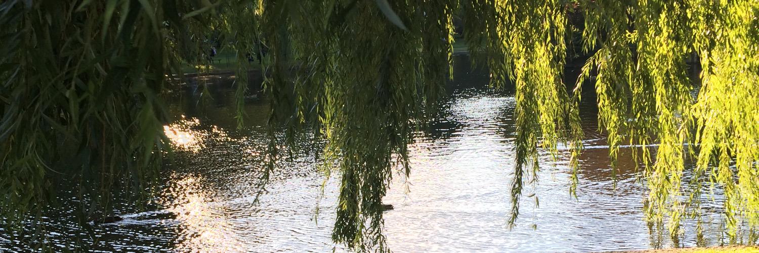 Moni in the archives banner