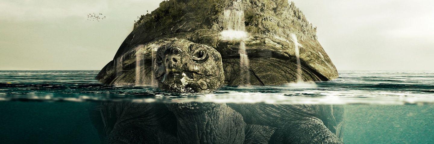 123Tadeus's profile banner image