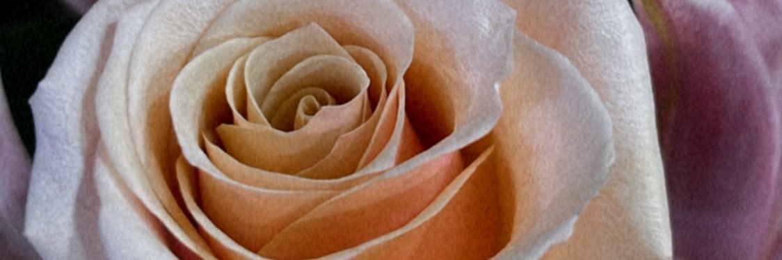 belen_alexus's profile banner image