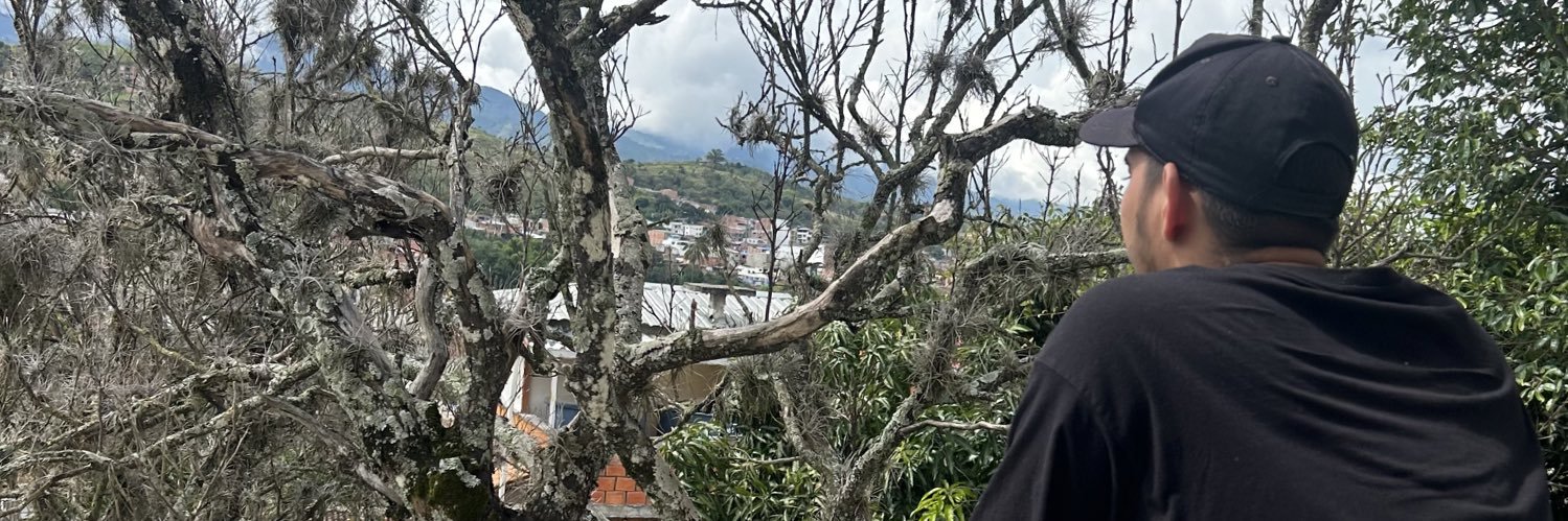 UnpolloAbogado's profile banner image