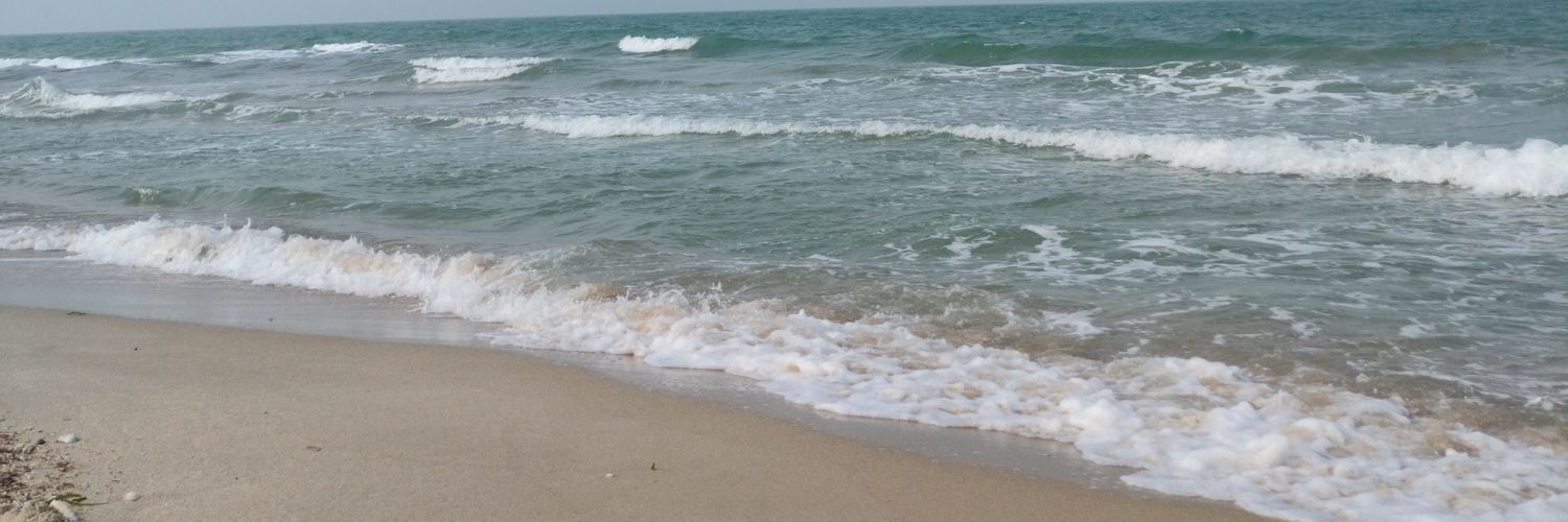 jana_twitz's profile banner image