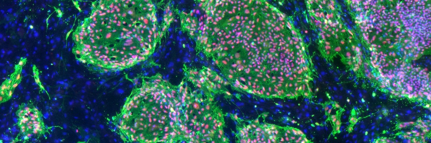 Talbot Research Group banner