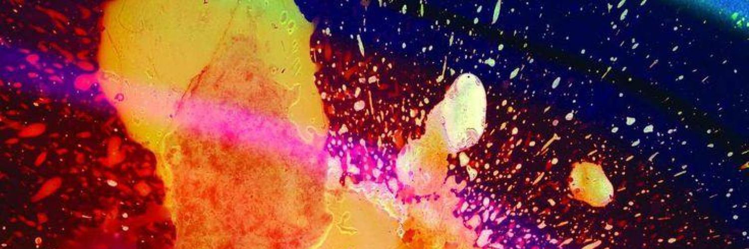 Lanternlizard's profile banner image