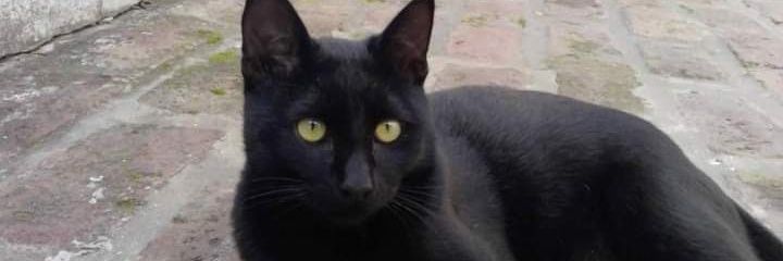 Facundo86K's profile banner image
