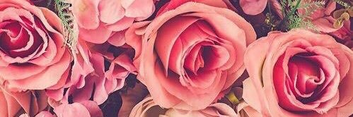 Anto8959's profile banner image