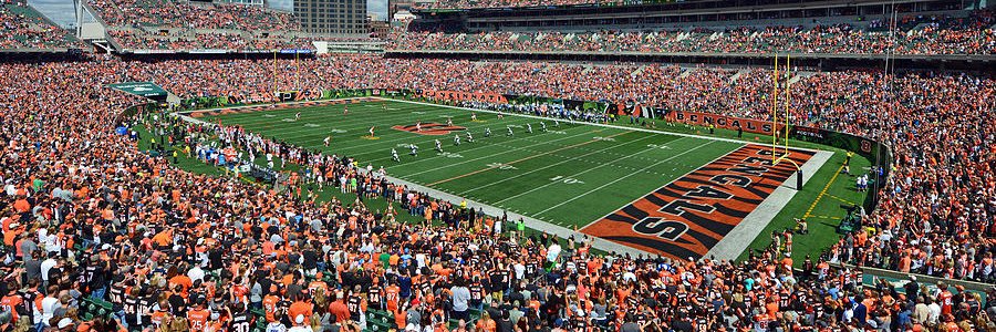 Bengals Fans banner