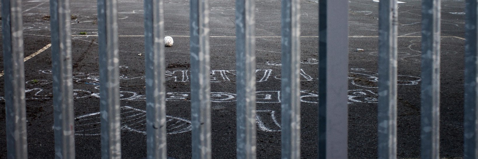 Paul Reynolds 🇮🇪 banner