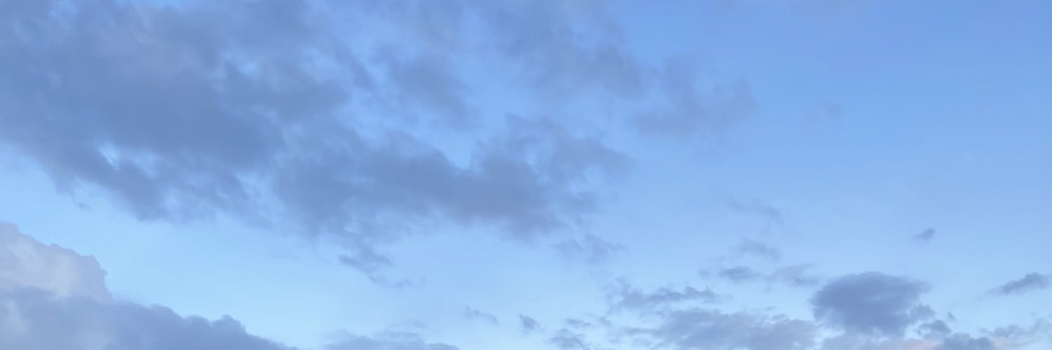 MaddyW14's profile banner image
