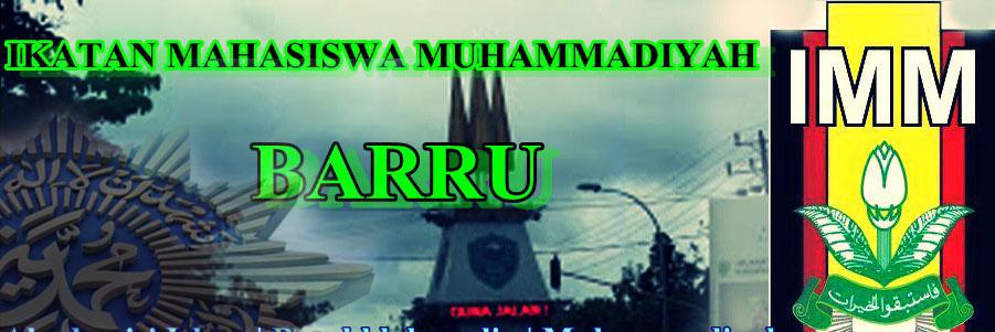 IMMbarru banner