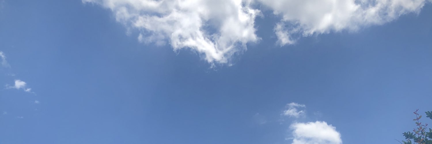 rindance1's profile banner image