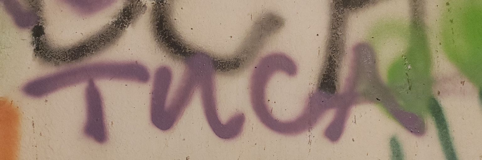 ognjentomasevic banner