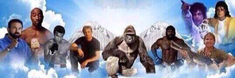 wigga67's profile banner image
