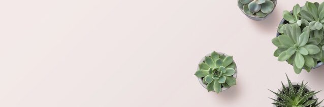 MKiselica's profile banner image