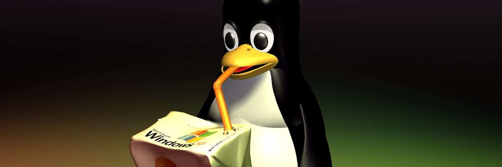 rdincel1's profile banner image