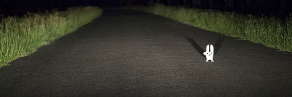 Minkyew Profile Banner