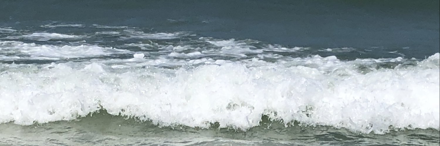 Melissa Elsinger banner