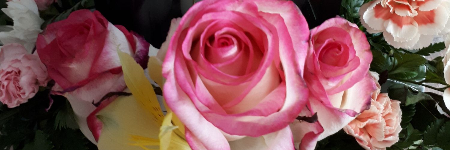 Danielle6636's profile banner image