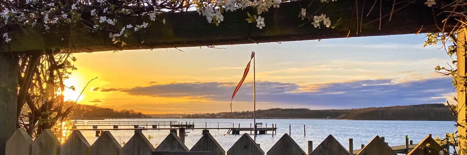PaviaDk's profile banner image