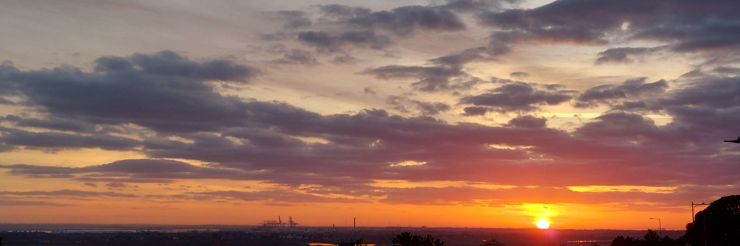 AliGaijin's profile banner image