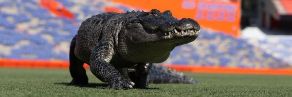 tchamp93 Profile Banner