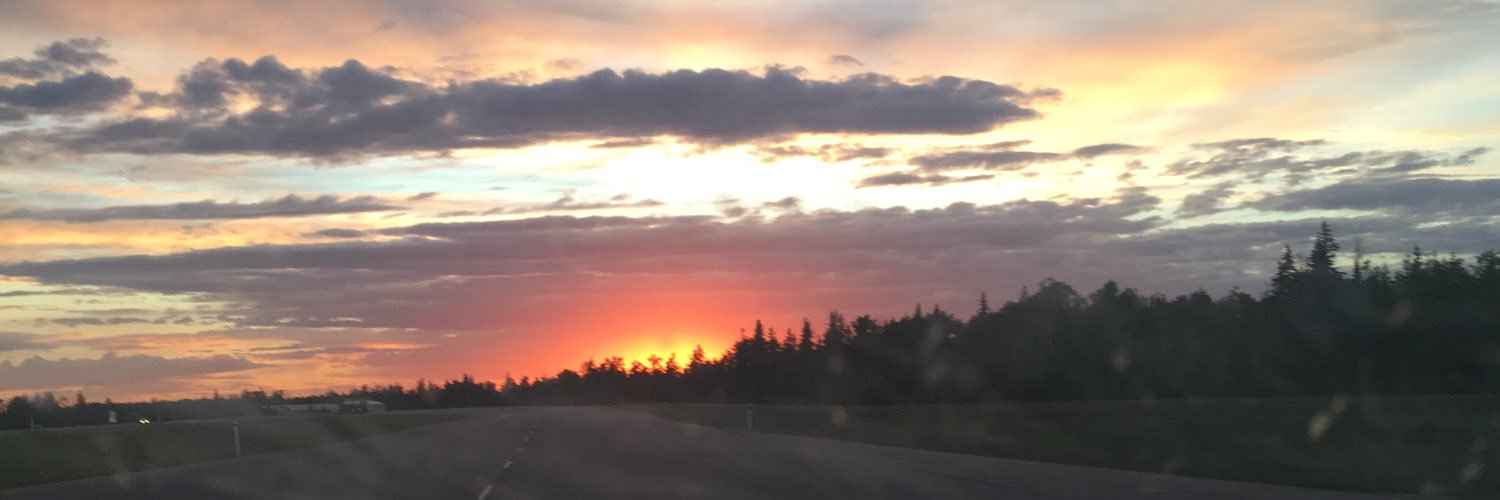 Stef Kirincic banner