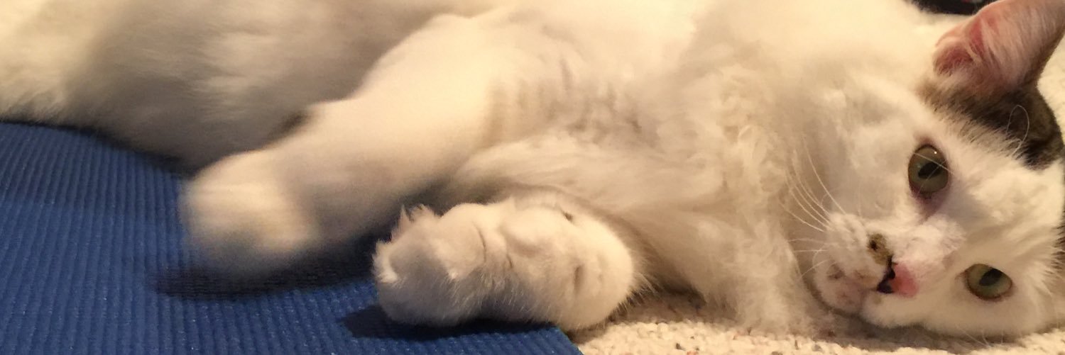Jada08's profile banner image