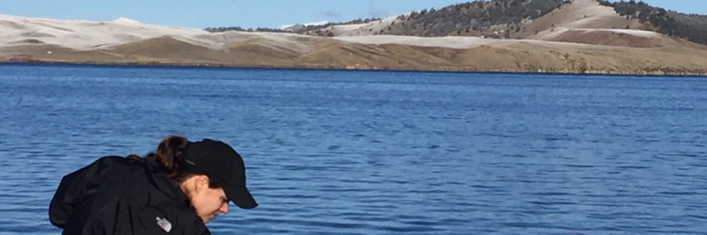 FieldsnMay's profile banner image