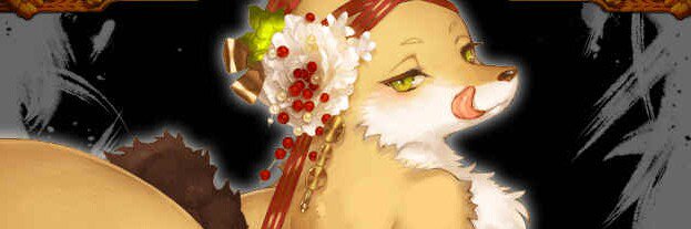 Renard729's profile banner image
