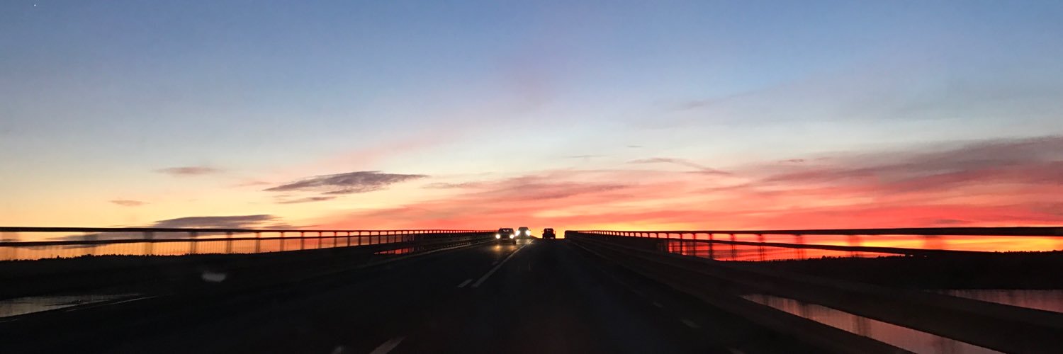 sejdenwik's profile banner image