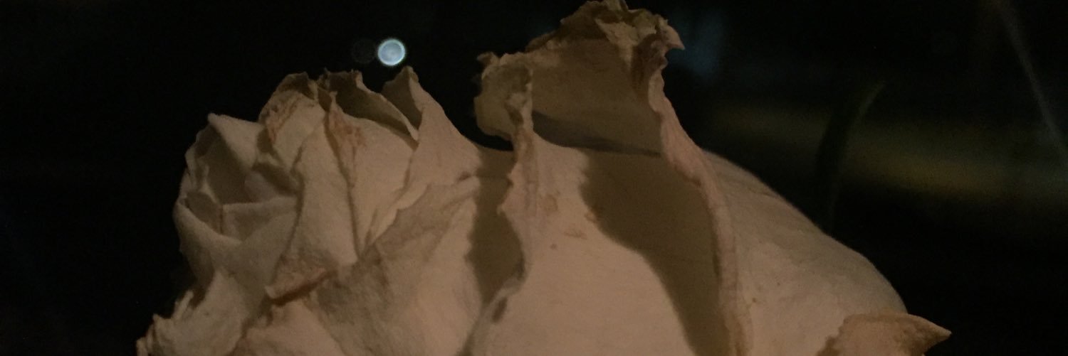 anyonebutdick's profile banner image