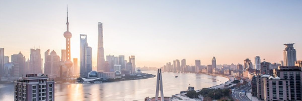 Radovan D. Šušić banner