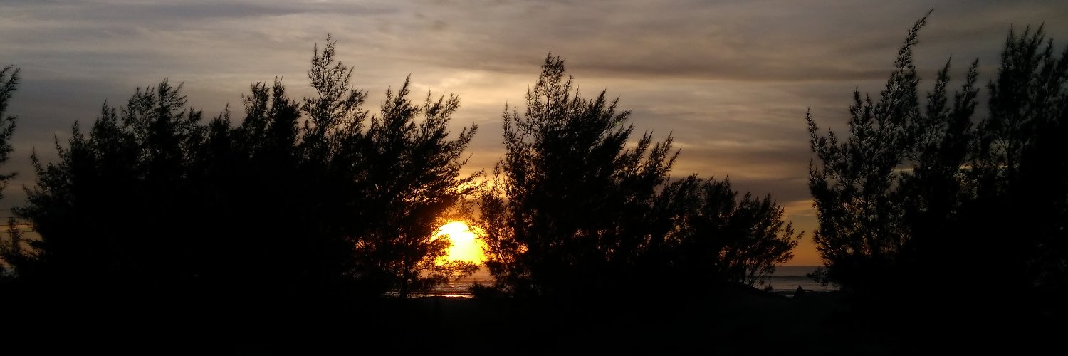 angelaarozzi's profile banner image