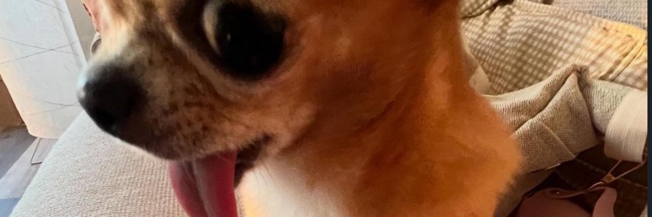 _kay2wice's profile banner image