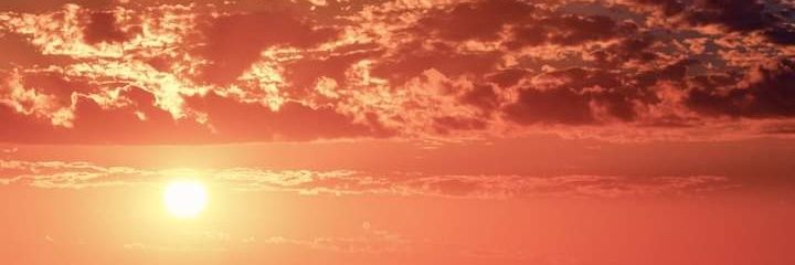 Julia_hatz's profile banner image