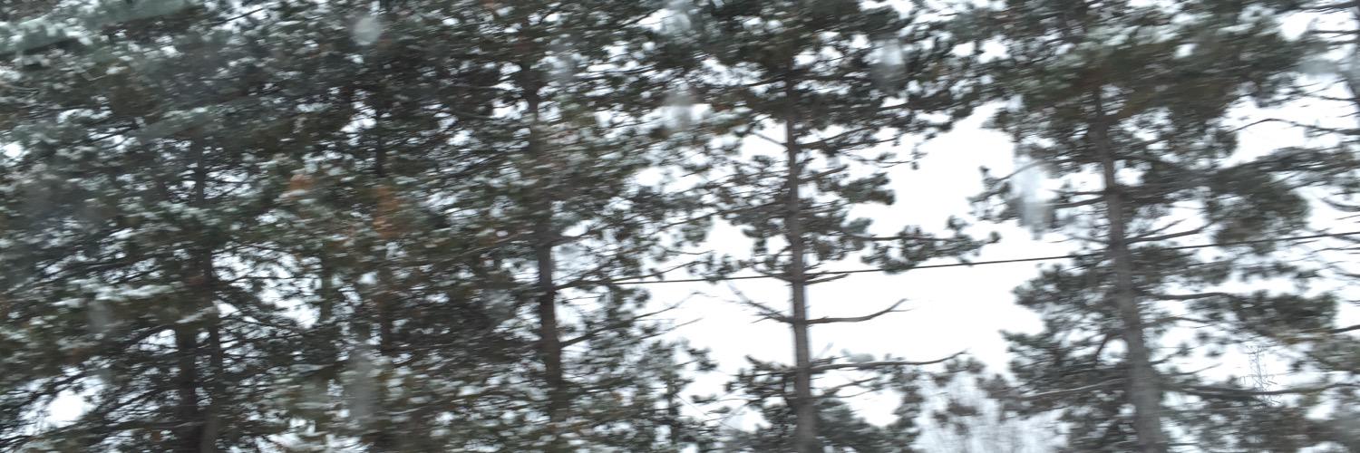 NICKDIAMANDISS's profile banner image