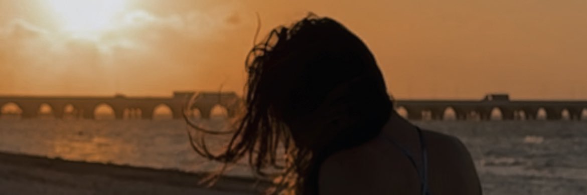 carolinaaesc's profile banner image