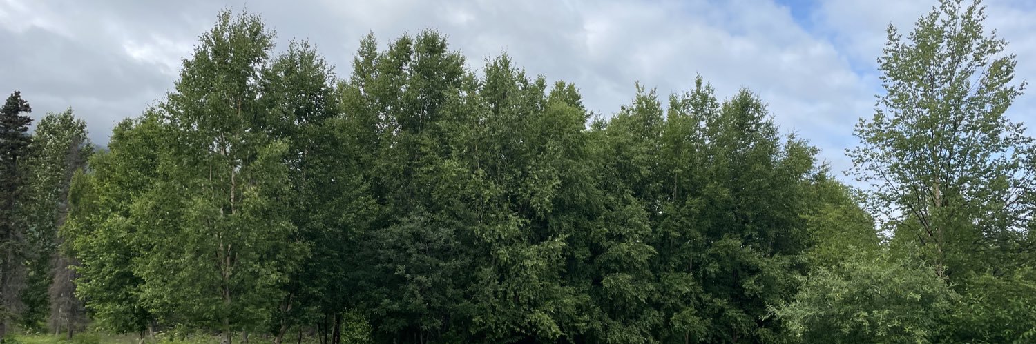 JKLacy12's profile banner image
