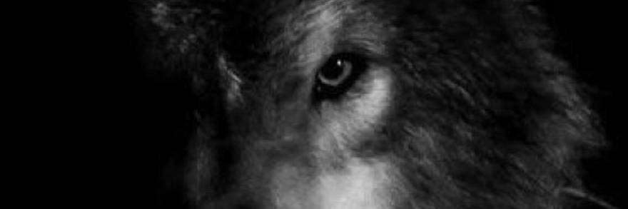06angar's profile banner image
