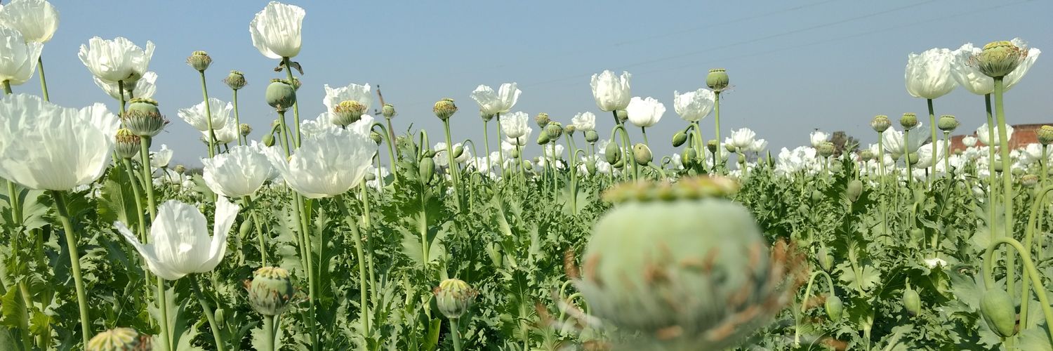 Chandan Nandy banner